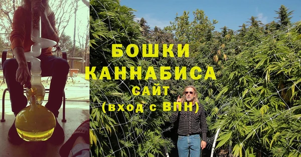 хмурый Куйбышев