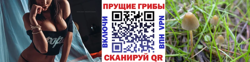 Псилоцибиновые грибы мухоморы Тольятти